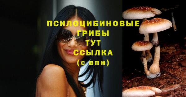 Альфа ПВП Арсеньев