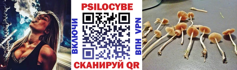 Псилоцибиновые грибы GOLDEN TEACHER  МЕГА как зайти  Лиски  купить  